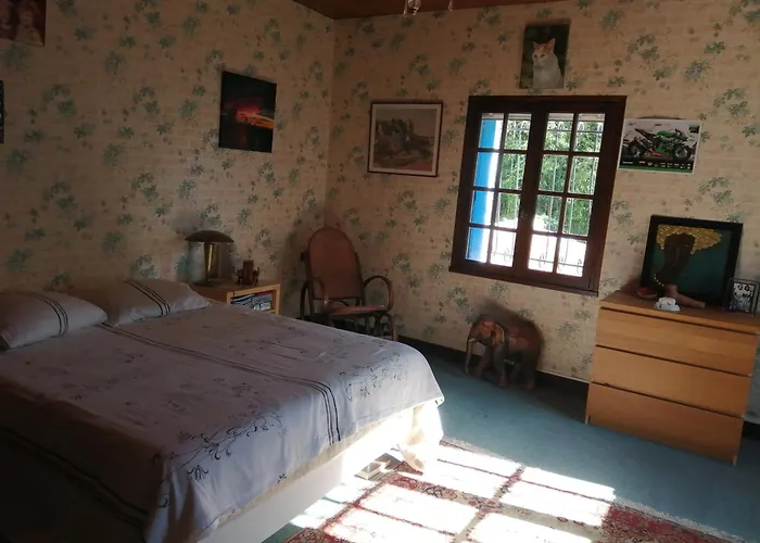 Maison De Avec Jardin * Saujon